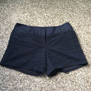 The Limited Navy Lace Overlay Tailored Shorts